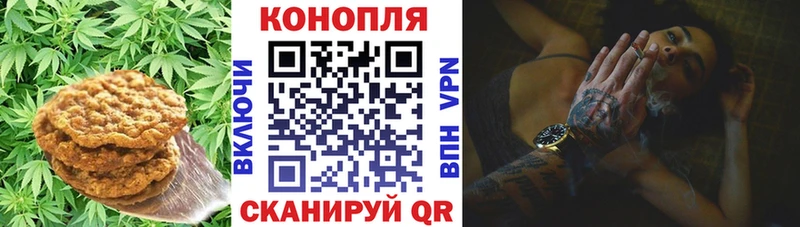даркнет сайт  Салават  Печенье с ТГК марихуана 
